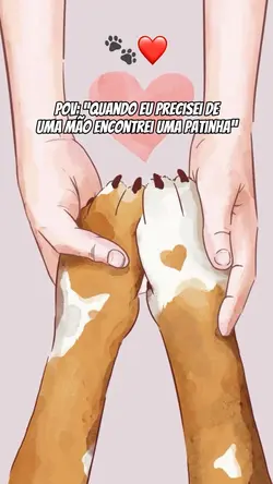 Amigo de 4 patas 🐾❤️