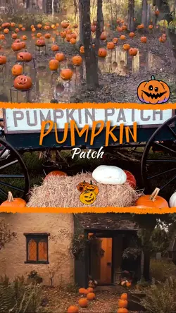 Pumpkin patch
