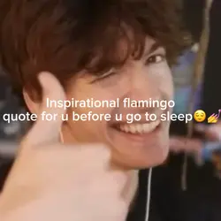 Flamingo quote 