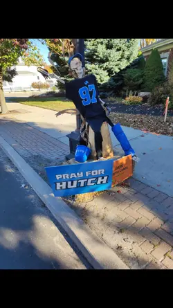 The Lions Godfather