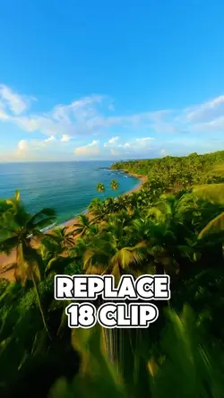 Replace Clips