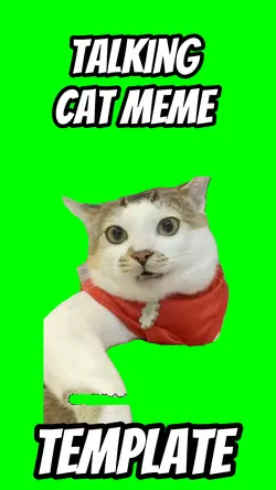 Talking cat 