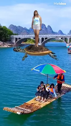 VOANDO NA TARTARUGA 