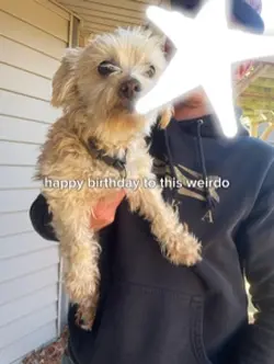 happy bday