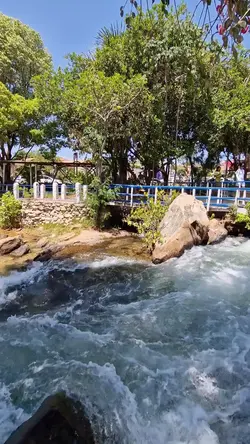 natureza 