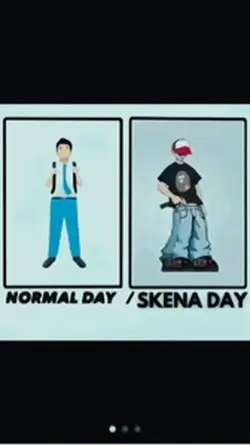 Normal day/skena day