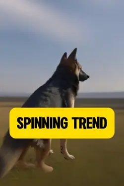 Spinning Trend ⚠️