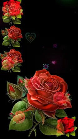 Rosas Vermelhas 