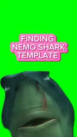 Finding Nemo Shark 