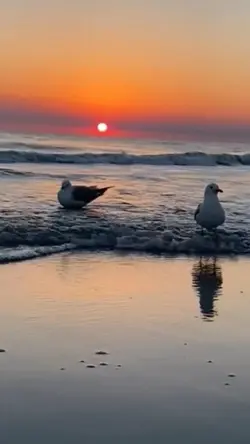 Amazing relax sunset