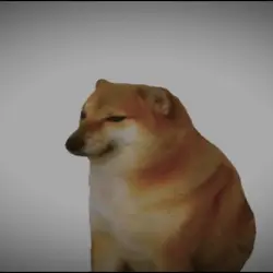 skibidiii meme 