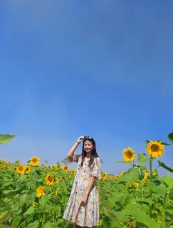သို့ သူငယ်ချင်း