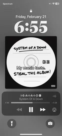 My music taste.