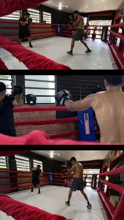 Boxing training 