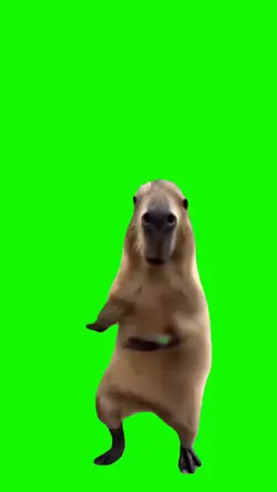 Capybara Dancing