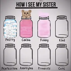 HOW I SEE YOUR SISTE