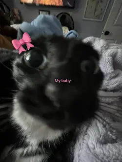 My baby! 🎀