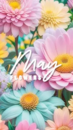 ✨ April to May ✨