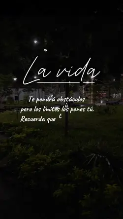 Frases y reflexiones