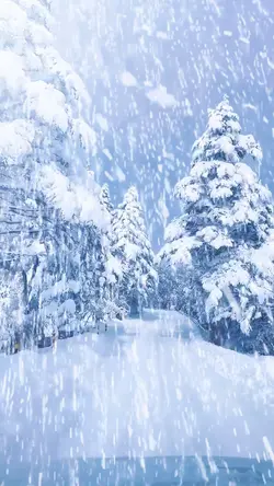 Snow scene