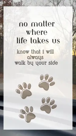 Dog Walking 