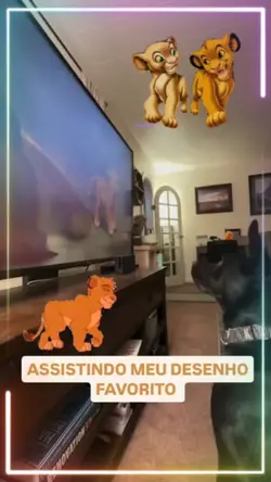CACHORRO FOFO
