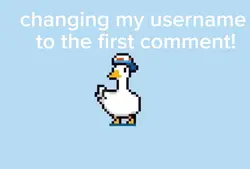 cute duck
