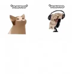 Cat singing