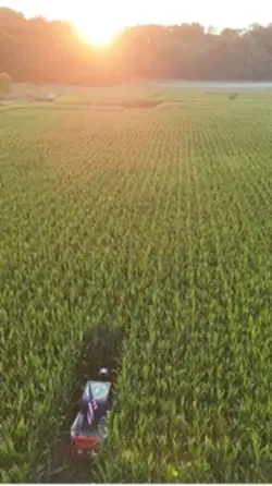 Farm