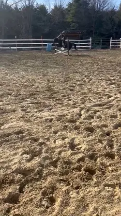 eq needs some tlc 😔