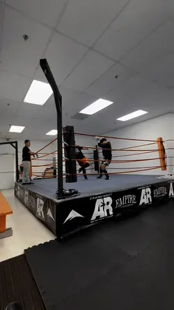 MMA PULSE EFFECT