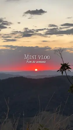 Vlog