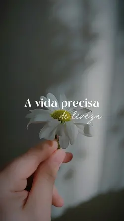 Leveza•Momentos