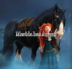 Horse + Rider duo