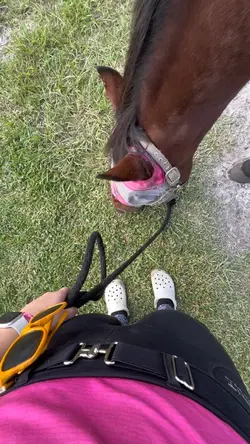 barn vlog!