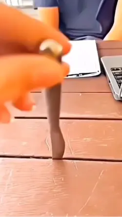 mini vlog