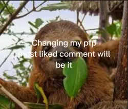 New pfp 