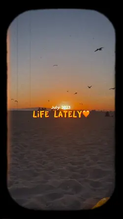 Film Video Dump🧡
