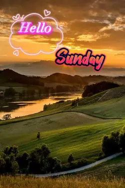Hello Sunshine 