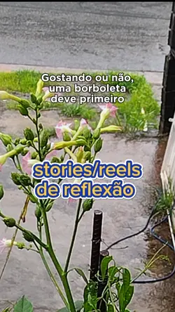 memorias de ontem 