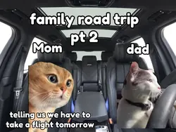 family road trip Pt2