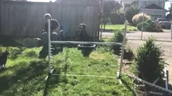 Agility practic
