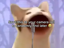 Cat Rick roll