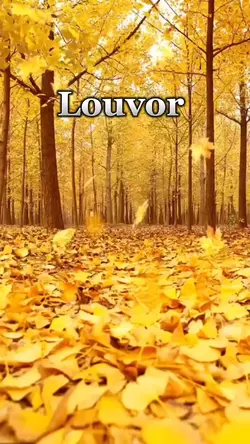 Louvor 