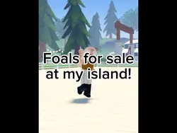Foal auction!