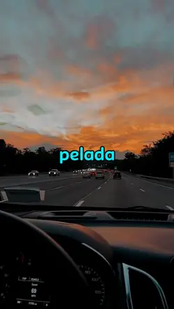 Modelo 