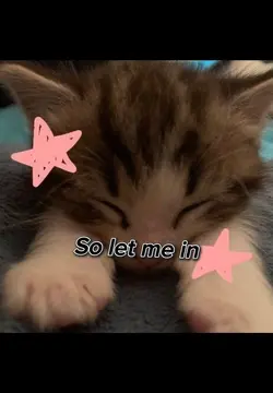 Let me in