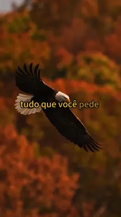 tudo que você pede