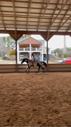 Almost fell :D