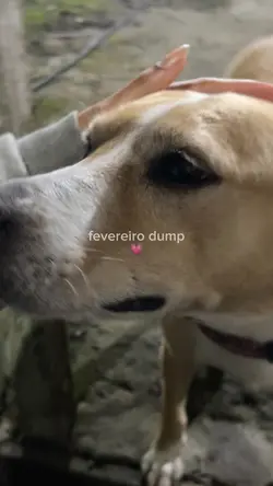 fevereiro dump 💗